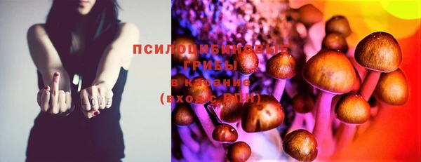 бошки Алзамай