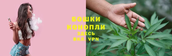spice Алексеевка