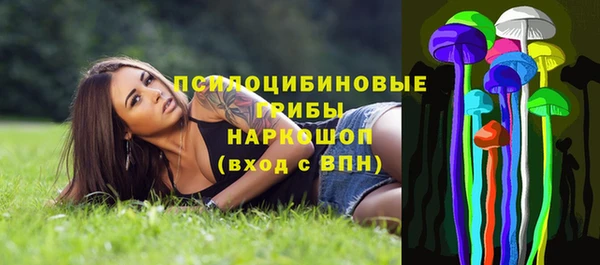 spice Алексеевка