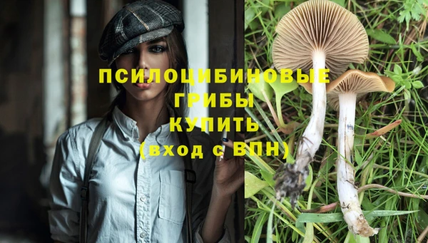 бошки Алзамай